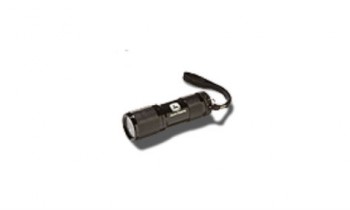CroppedImage350210-9LEDFlashlight.jpg