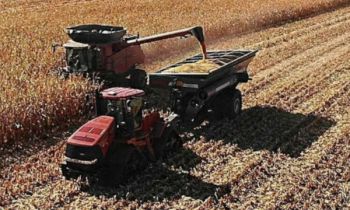 CroppedImage350210-Demco-Agriculture-Y24.jpg