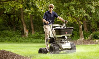 CroppedImage350210-Ferris-RideOnSpreadSpray-Y23.jpg