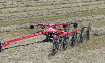 CroppedImage350210-Norden-WheelRakes-Y24.jpg