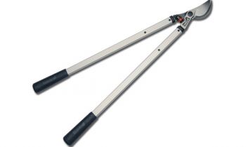 CroppedImage350210-STIHL-PL30-2019.jpg