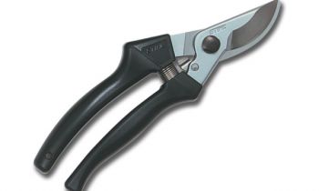 CroppedImage350210-STIHL-PP40-2019.jpg