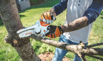 CroppedImage350210-Stihl-BattHandTools-22.jpg