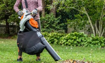CroppedImage350210-Stihl-BatteryShredderVacs-Y24.jpg