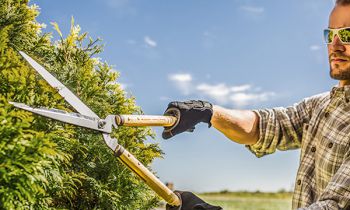 CroppedImage350210-Stihl-GardeningTools-22.jpg