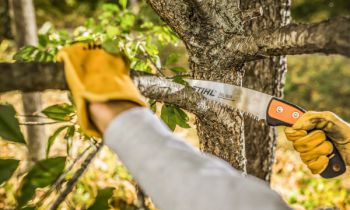 CroppedImage350210-Stihl-HandPruningSaws-22.jpg