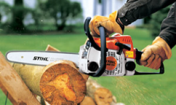 CroppedImage350210-Stihl-Homeowner-Chainsaw.png