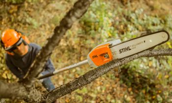 CroppedImage350210-Stihl-PolePruners-2019.jpg